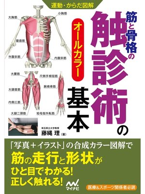 cover image of 運動・からだ図解　筋と骨格の触診術の基本